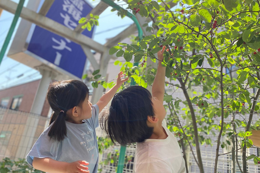 春のイベント写真